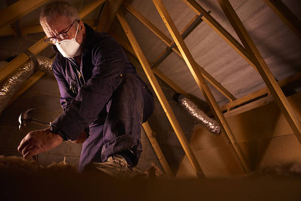 Best Commercial Insulation in Spring Arbor, MI